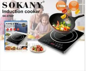 Single Plate Induction Cooker