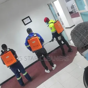 Bedbugs/Kunguni Fumigation