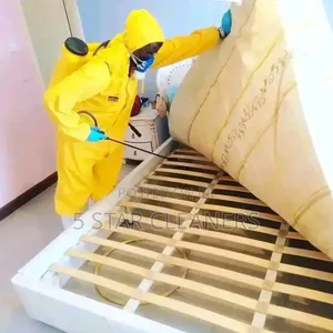 Detailed Bedbugs and Cockroaches Fumigation