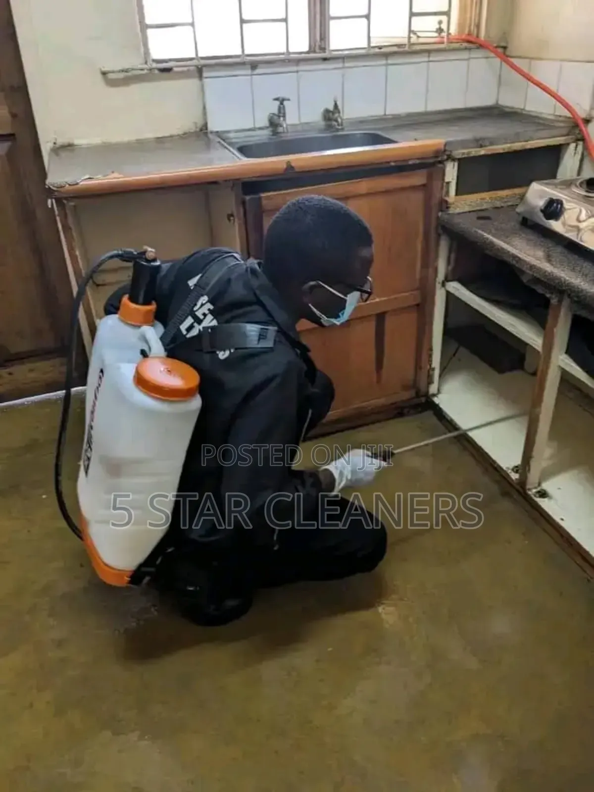 House Bedbugs Fumigation