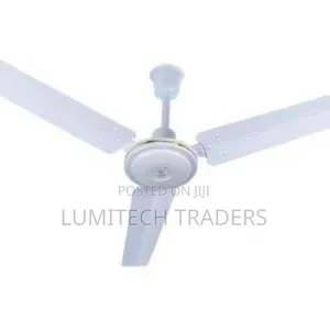 Starworth 24" Ceiling Wall Mounted Fan