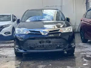 Toyota Corolla Fielder 2019 Matt Black