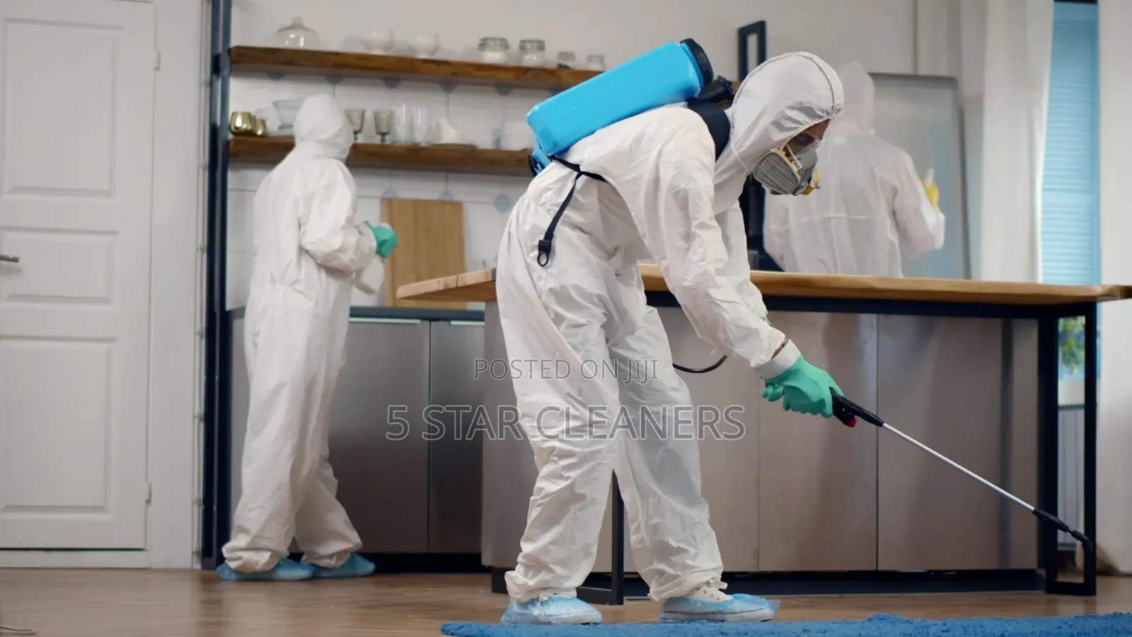 Eco-Friendlys Safe Effective Pests Control Fumigation