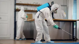 Eco-Friendlys Safe Effective Pests Control Fumigation