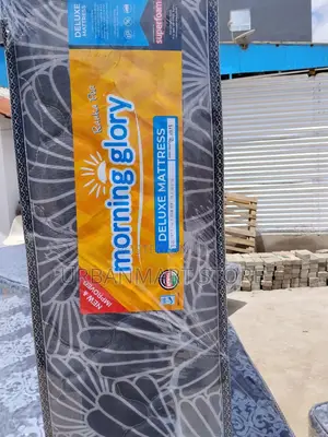 Morning Glory Mattress 5×6×10 , Quilted Foam Mattress