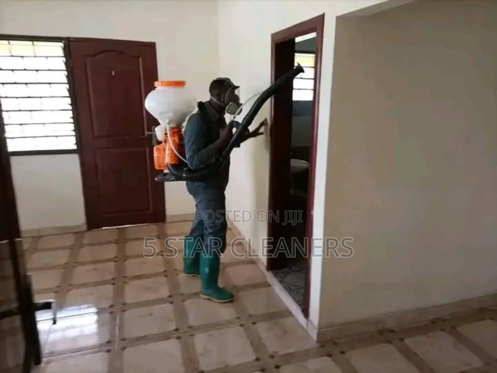 Effective Bedbugs Fumigation With No Smell