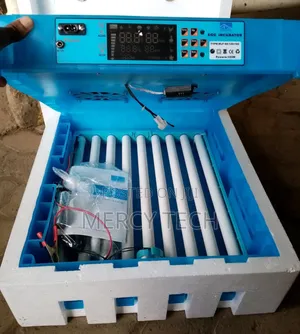 64eggs Eggs Incubator