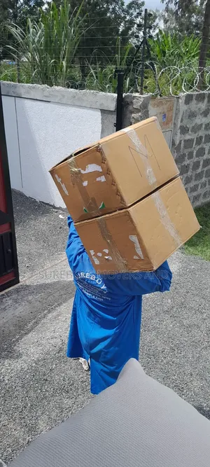 Professional Movers and Relocation Moving Services