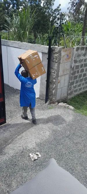 Professional Movers and Relocation Moving Services