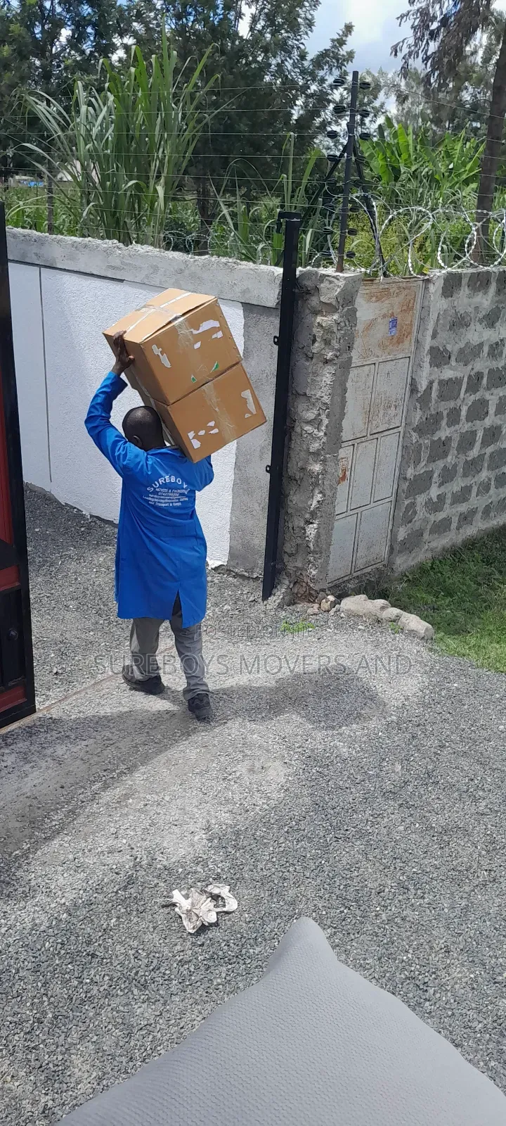 Professional Movers and Relocation Moving Services