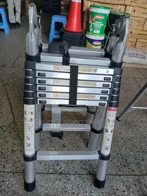 Telescopic Ladder