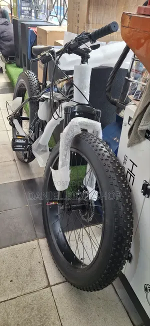 Adult Fat Tyre Bike