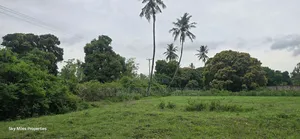 Mtwapa Animo - 2 Acre Land Available for Sale
