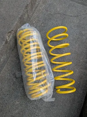 Coil Springs Probox New Model