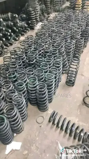 Nissan Heavy Duty Coil Springs