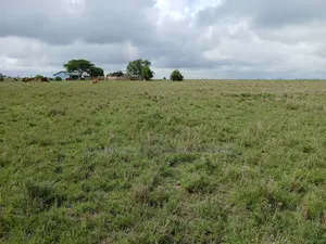 Distress Deal! 3 Prime Acres 1km Off Kiserian-Isinya Tarmac
