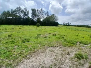 Prime Full 50 by 100 Plot on Quick Sale Near Isinya Town
