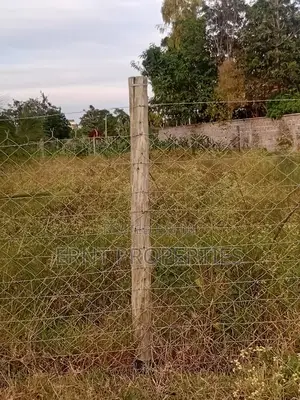 Prime 1/4 Acre Plot 25m From Tarmac for Sale in Korompoi, Kitengela