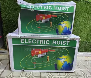 Electric Hoist/500kg Electric Hoist