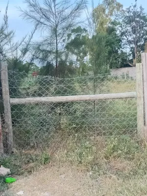 Limited Opportunity: Prime 1⁄4 Acre Fenced Plot in Korompoi !
