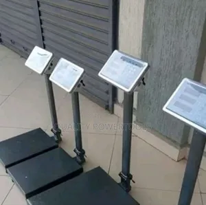 300kgs Platform Weighing Scale-Accurate