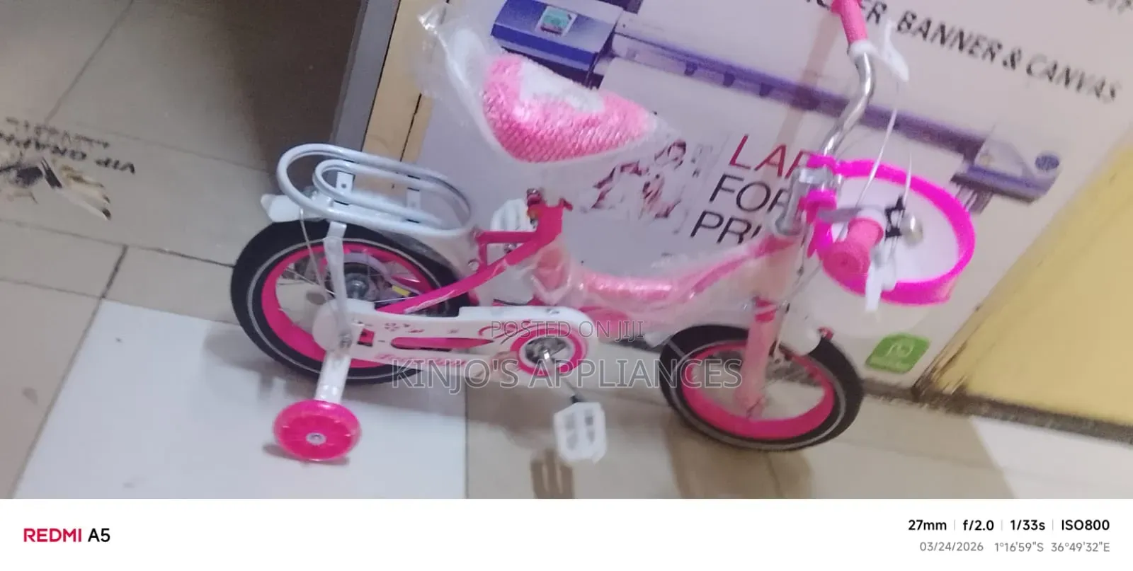 Lady Bird Size 12 Bike