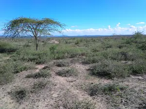 Quick Sale! 1acre in Konza
