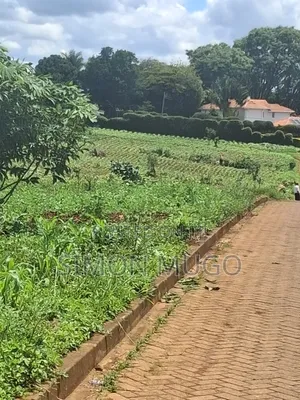 Kitsuru Very Prime Fairy Flat Red Soi 5 Acres