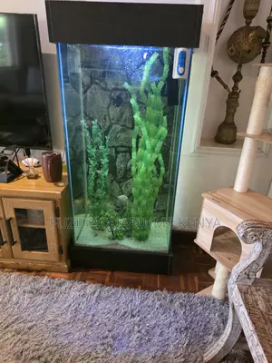Stunning Vertical Column Aquarium - Full Professional Setup
