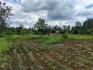2 Acres of Land City at Makuyu -Tatu C