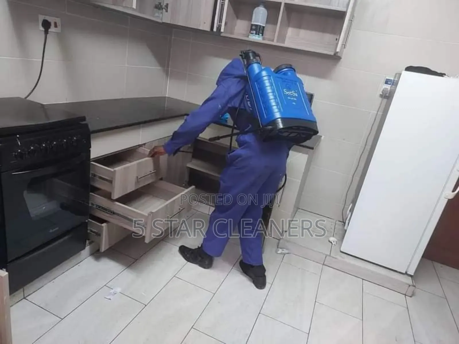 Cockroaches, Ants, Termites Fleas Bedbugs and Bats Fumigation