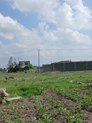 1/8 Acre Plot for Sale in Joska