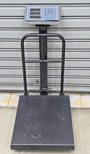 Digital Weighing Scale/300kgs Big Base Weighing Scale