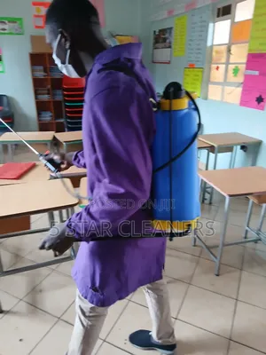 Bedbugs, Mosquitoes  Cockroaches and Rodents Fumigation Services
