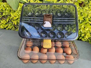 Acrylic Egg Holder Holds 24 Pieces of Eggs