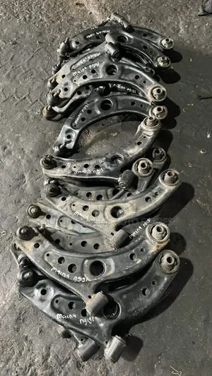 Lower Arms Passo