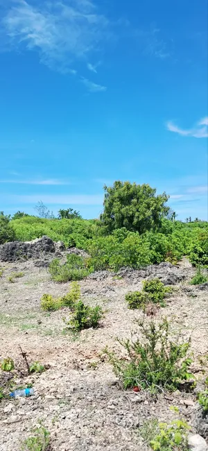 For Sale Quater Acre Plots Watamu