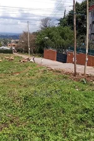 1⁄2ac Prime Plot Fronting Highway at Sigona