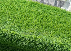 25mm Bright Looking , Supply and Installation of Grass Carpet