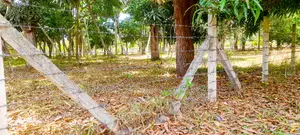 Prime 2 Acres For Sale – Mtwapa–Kikambala