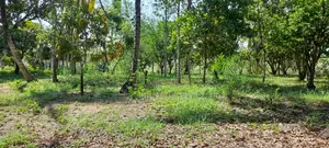 0.5 Acres For Sale In - Mtwapa Kikambala