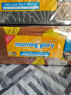 Morning Glory Mattress 4 by 6, 10 Inches Plain, Foam Mattress