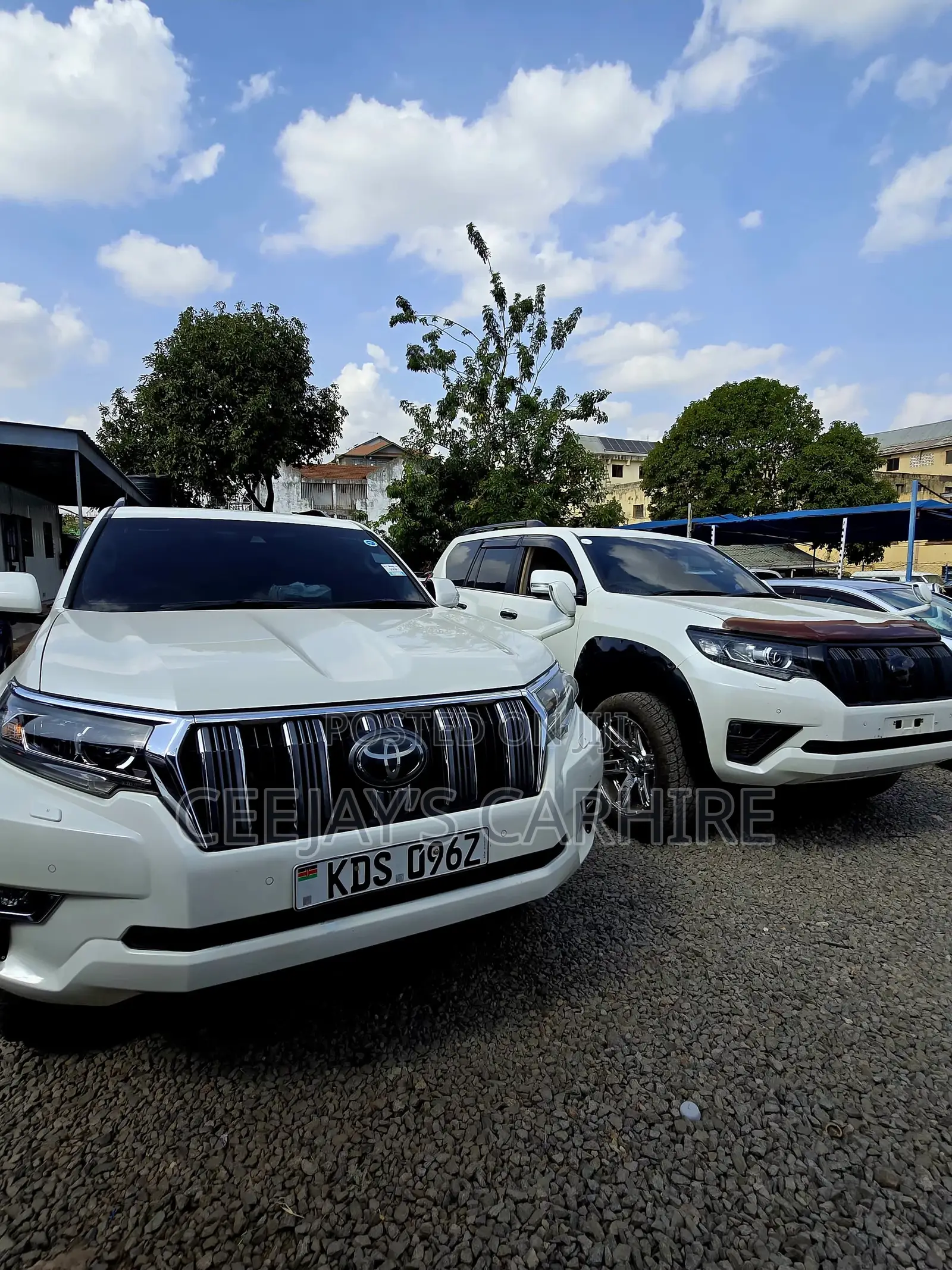 Prado for Hire