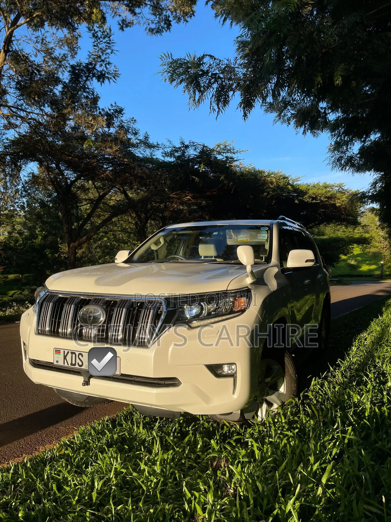 Prado for Hire