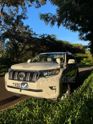 Prado for Hire