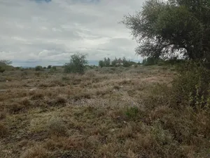 Prime Plot at Korompoi