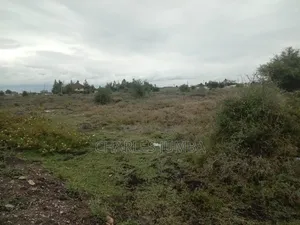 Prime Plot at Korompoi