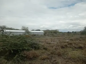 Prime Plot at Korompoi