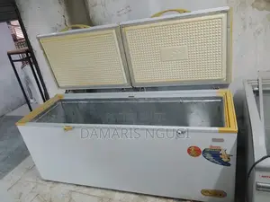 2door Deep Freezer
