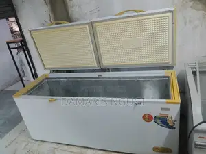 2door Deep Freezer